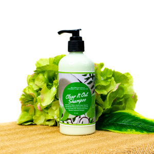 Coconut Lime Clear It Out Shampoo 10 oz